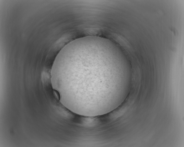 X0000113900432200910081833