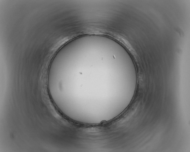 X0000113900433200910081832