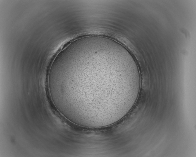 X0000113900434200910081832