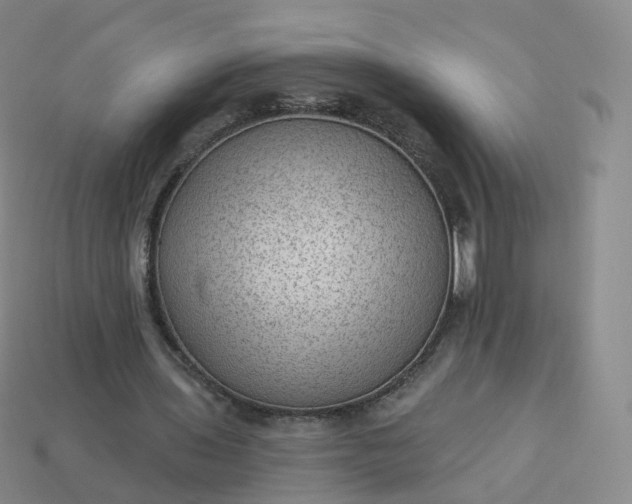 X0000113900435200910081832