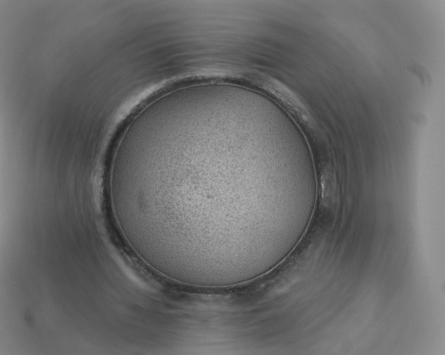 X0000113900436200910081832