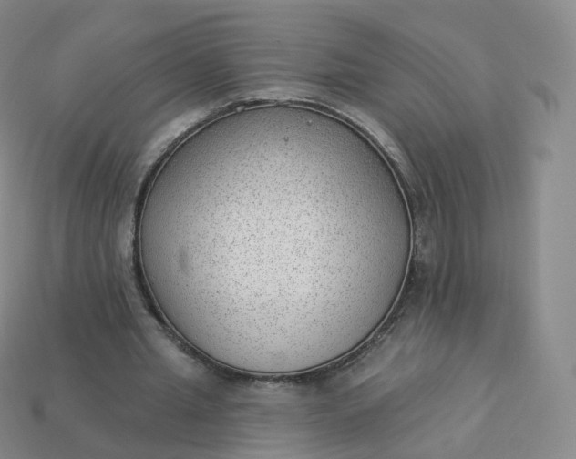 X0000113900437200910081832