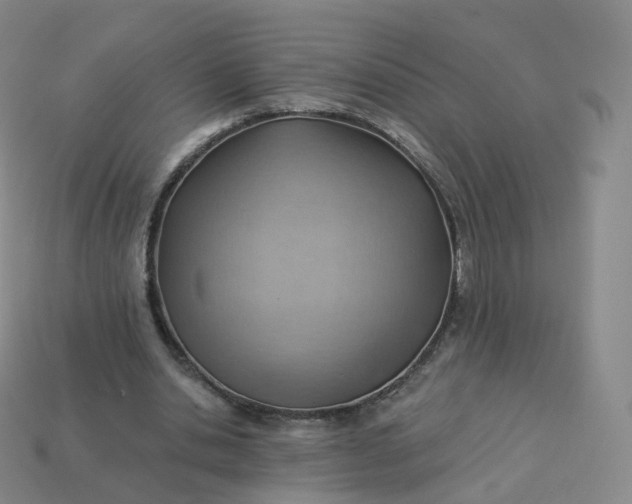 X0000113900438200910081832