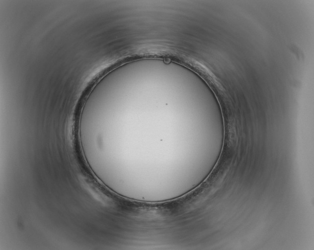 X0000113900439200910081832