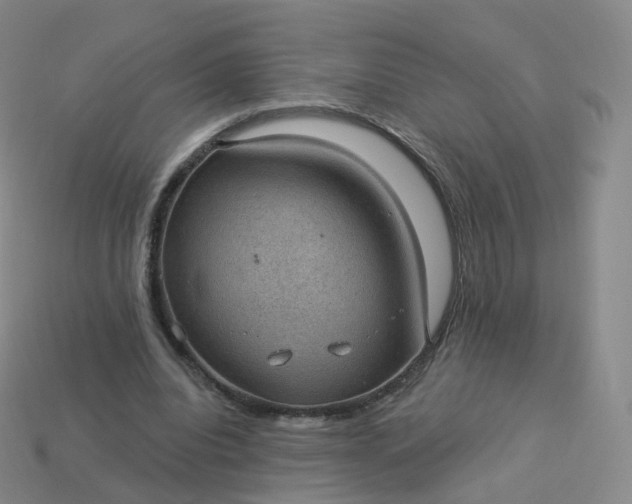 X0000113900440200910081832