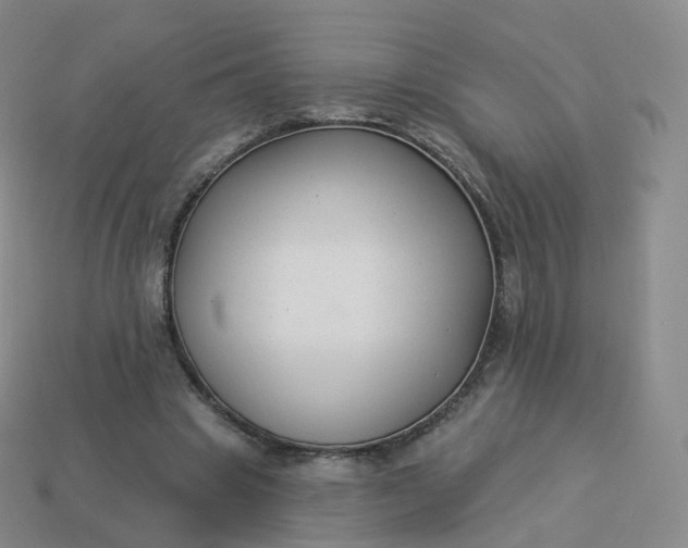 X0000113900441200910081832