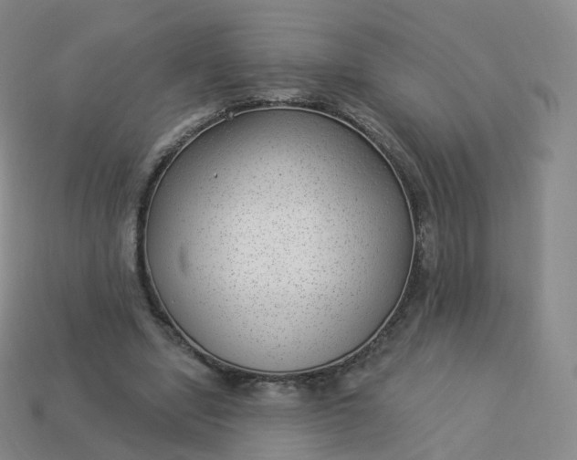 X0000113900442200910081832