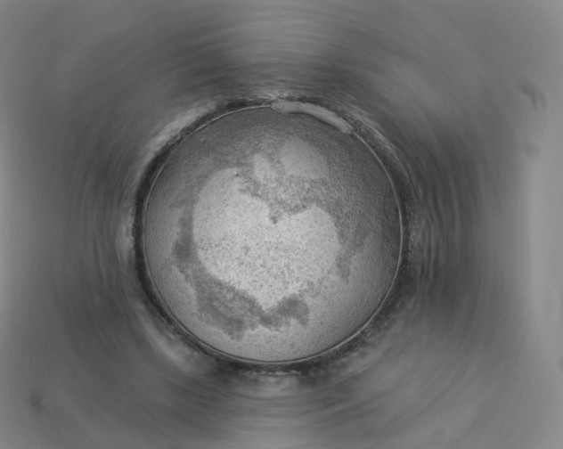 X0000113900443200910081832