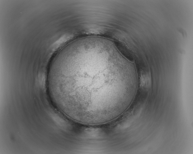 X0000113900444200910081832