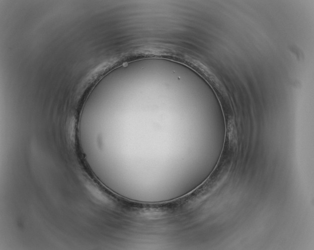 X0000113900445200910081832