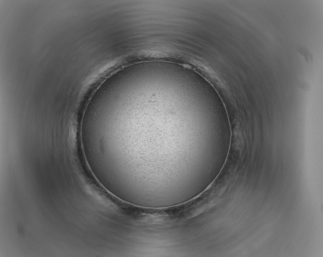 X0000113900446200910081832