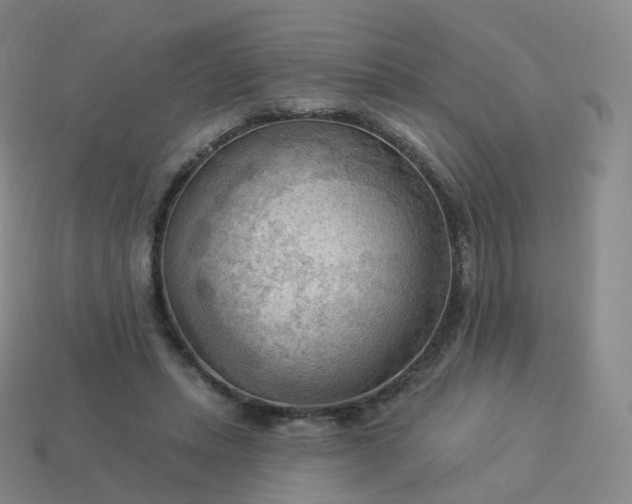 X0000113900447200910081832