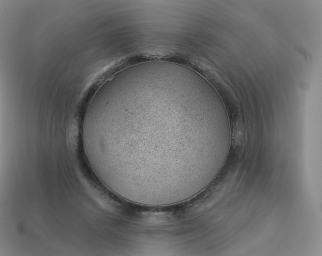 X0000113900448200910081832