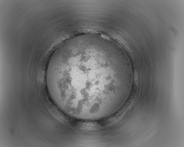 X0000113900449200910081832