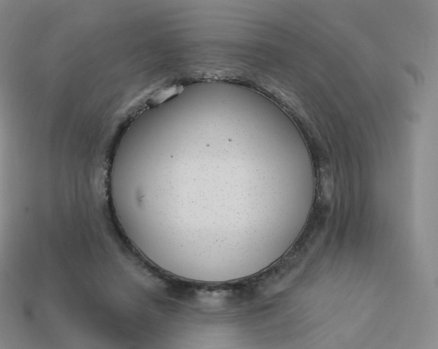 X0000113900450200910081832