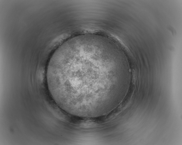 X0000113900451200910081832