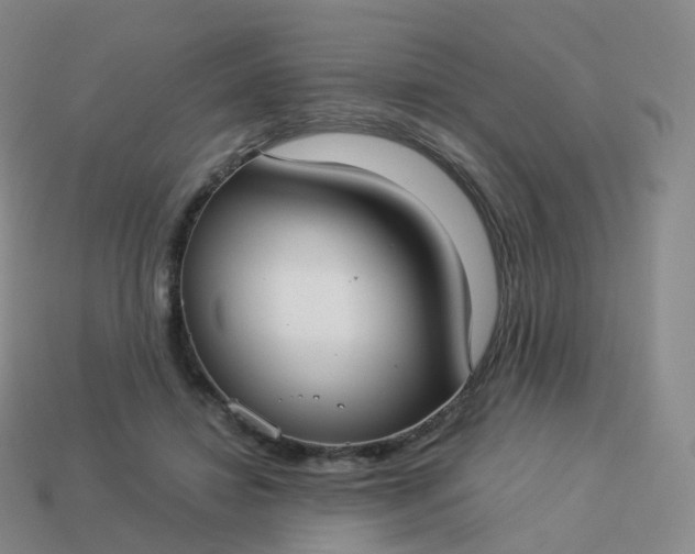 X0000113900452200910081832