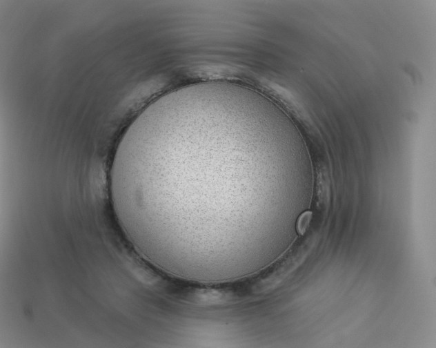 X0000113900453200910081832