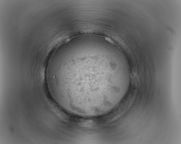 X0000113900454200910081832