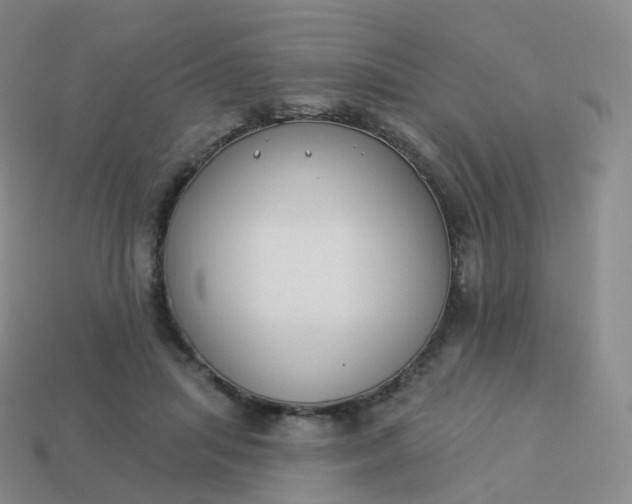 X0000113900455200910081832