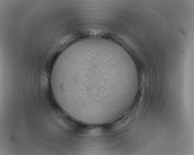 X0000113900456200910081832