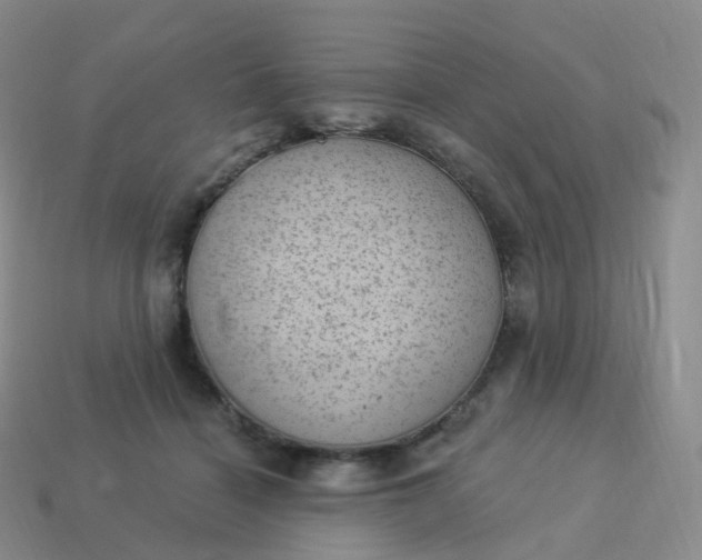 X0000113900460200910081832