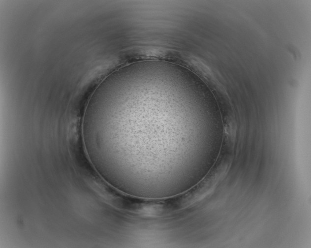 X0000113900462200910081832