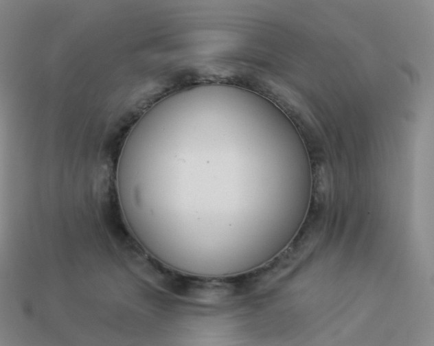 X0000113900463200910081832