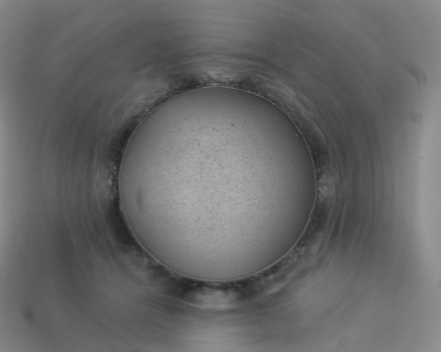 X0000113900464200910081832