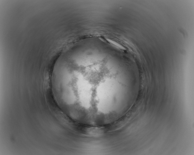 X0000113900465200910081832