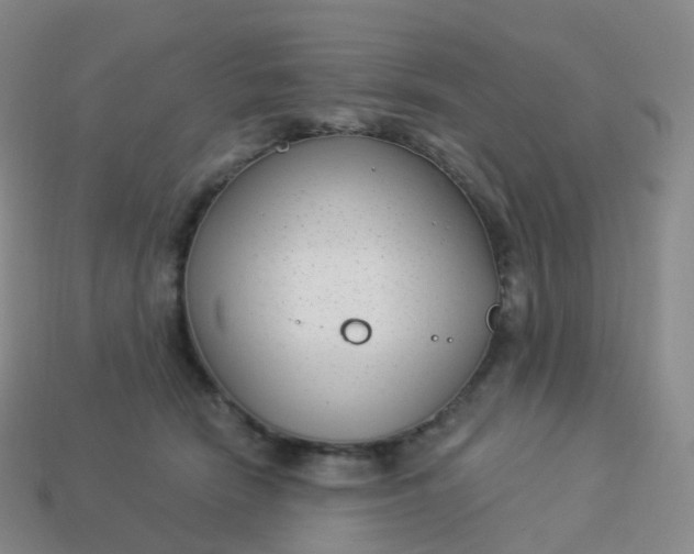 X0000113900466200910081832