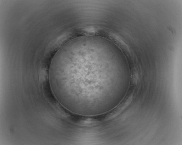 X0000113900467200910081832