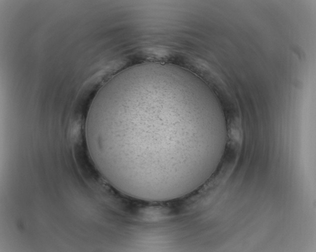 X0000113900468200910081832