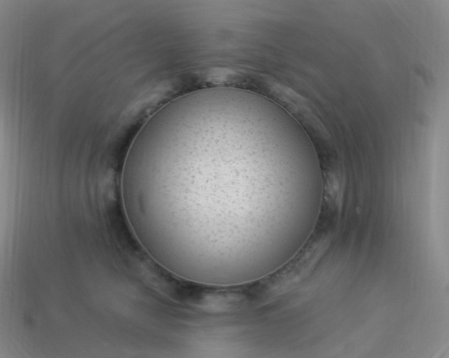 X0000113900470200910081832