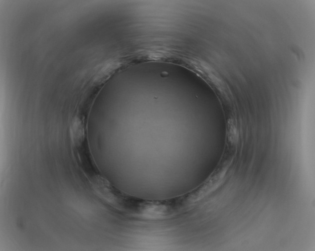 X0000113900471200910081832