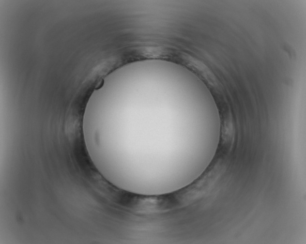 X0000113900473200910081832