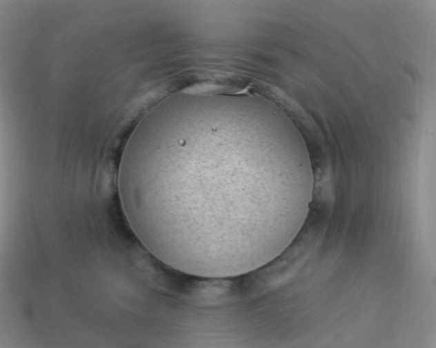 X0000113900474200910081832