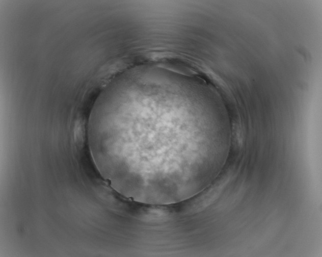 X0000113900475200910081832