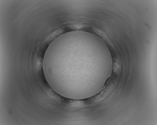 X0000113900476200910081833