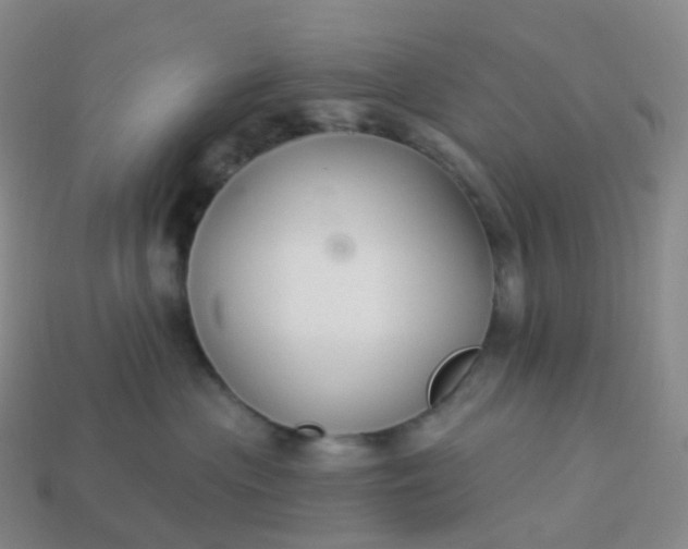 X0000113900477200910081833