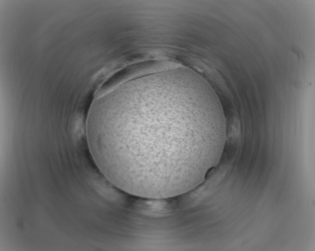 X0000113900478200910081833