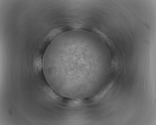 X0000113900479200910081833