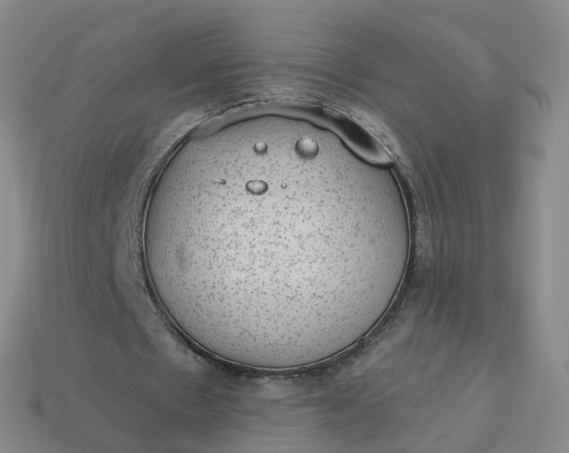 X0000113900481200910081832