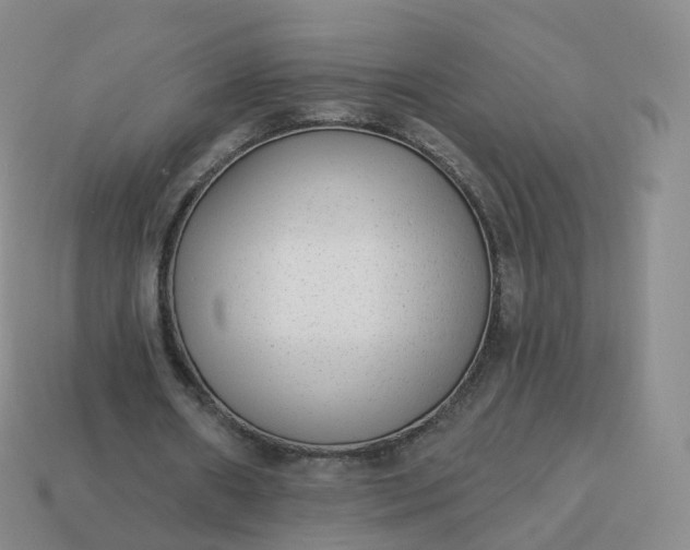 X0000113900482200910081832