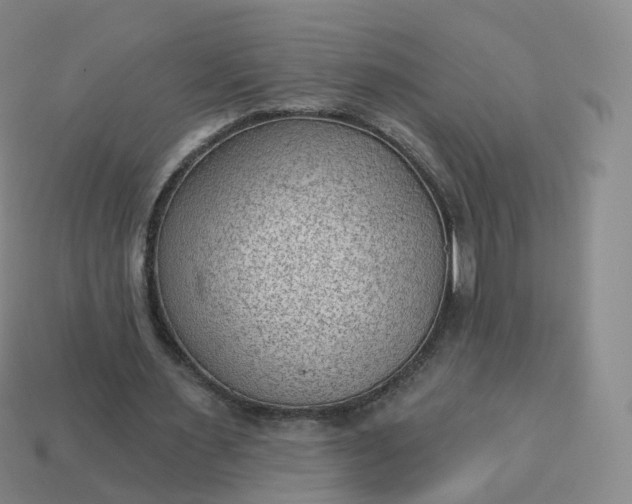 X0000113900483200910081832