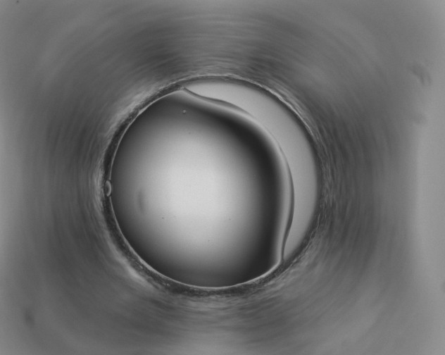 X0000113900485200910081832