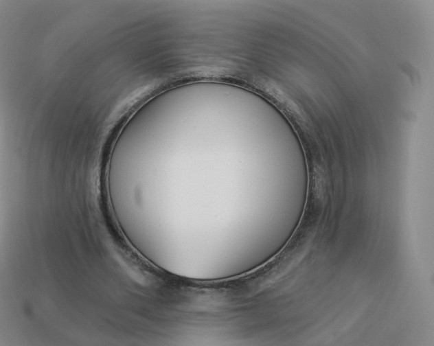 X0000113900486200910081832