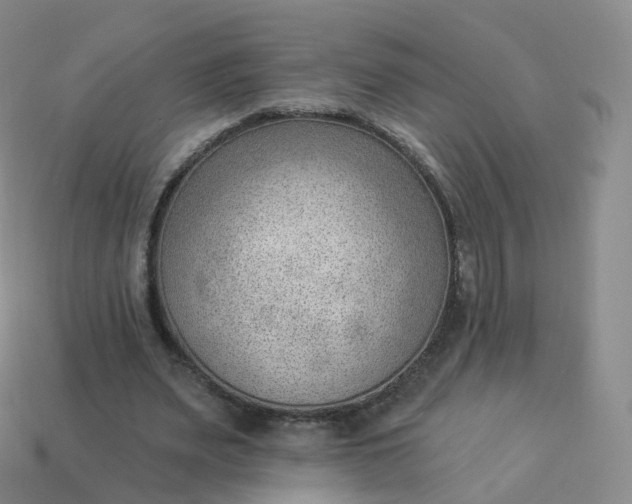 X0000113900487200910081832