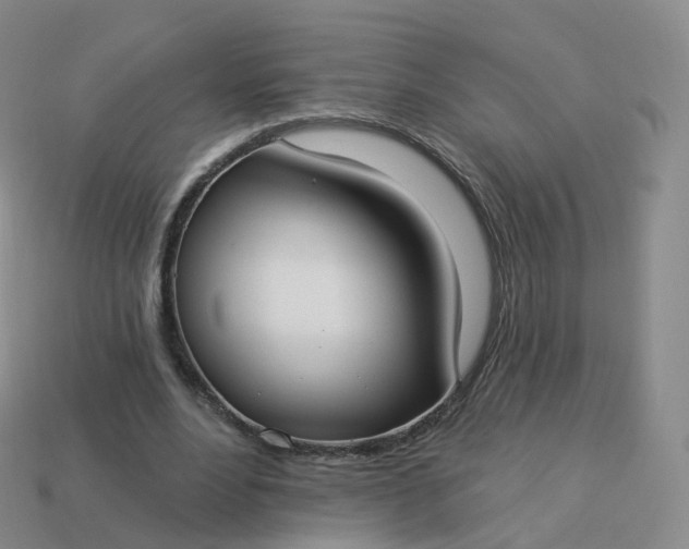 X0000113900488200910081832