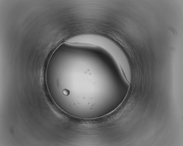 X0000113900489200910081832